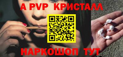 бошки Дубна